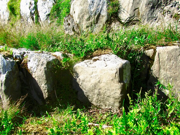 Large stones of Grianan of Aileach Picture Board by Stephanie Moore