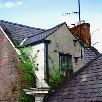 Buy canvas prints of Roofs of Derry by Stephanie Moore