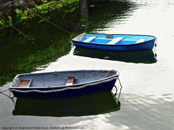 Two small boats Picture Board by Stephanie Moore
