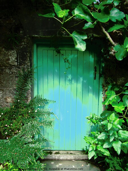 The Green Door Picture Board by Stephanie Moore