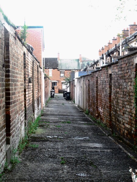Alley in Belfast Picture Board by Stephanie Moore