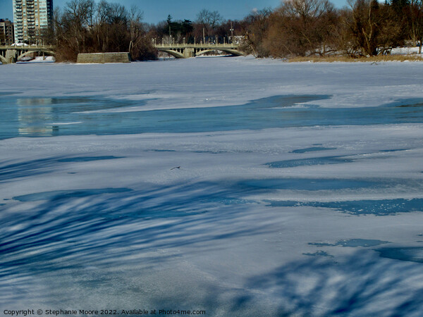 Melting Rideau River, Ottawa, ON Picture Board by Stephanie Moore
