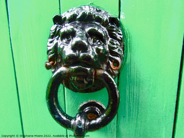 Lion headed doorknocker Picture Board by Stephanie Moore