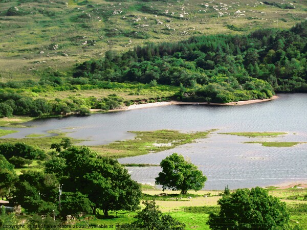 Loch in Sligo, Ireland Picture Board by Stephanie Moore