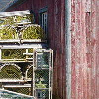 Buy canvas prints of More lobster pots by Stephanie Moore