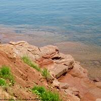 Buy canvas prints of Red Cliff of PEI by Stephanie Moore