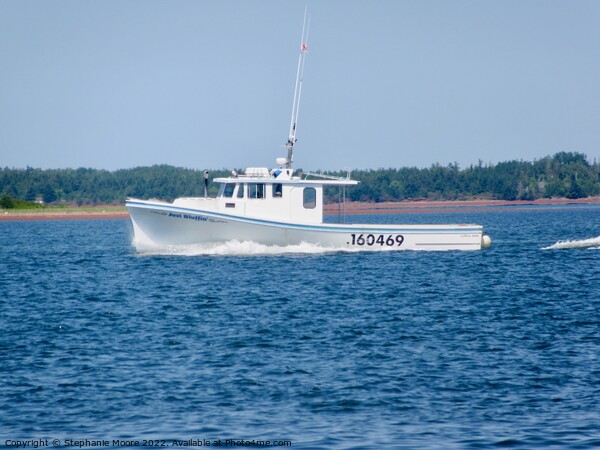 Going lobster fishing Picture Board by Stephanie Moore