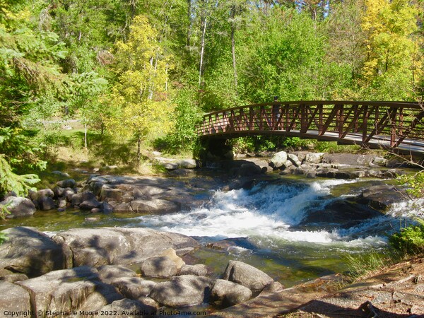 Bridge over the rapids Picture Board by Stephanie Moore