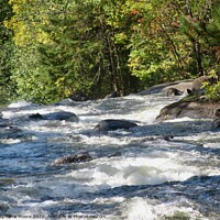 Buy canvas prints of More Rapids by Stephanie Moore