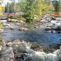 Buy canvas prints of Rocks and Rapids by Stephanie Moore