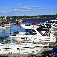 Buy canvas prints of Boats in Charlottetown Harbour by Stephanie Moore