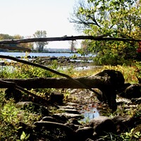 Buy canvas prints of The Ottawa River by Stephanie Moore