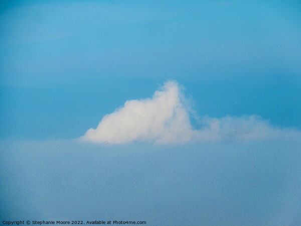Cloud on fog Picture Board by Stephanie Moore