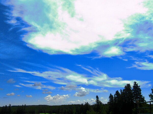 Beautiful clouds Picture Board by Stephanie Moore