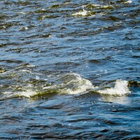 Buy canvas prints of Flooded Rideau River by Stephanie Moore