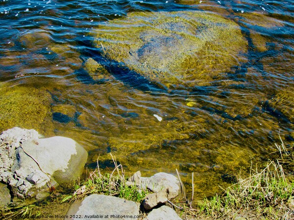 Rocks in the river Picture Board by Stephanie Moore