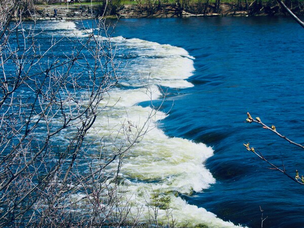 Rideau River Rapids Picture Board by Stephanie Moore