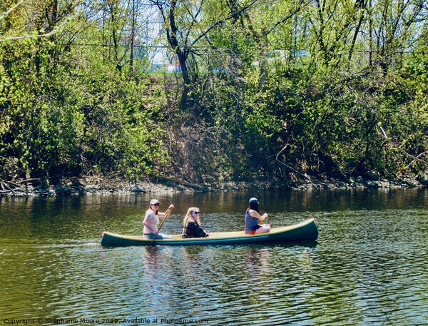Canoeing on the Rideau River Picture Board by Stephanie Moore