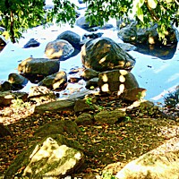 Buy canvas prints of Sun dappled rocks in the Rideau River by Stephanie Moore