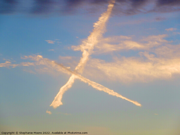 X Marks the spot Picture Board by Stephanie Moore