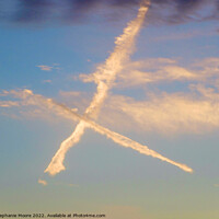 Buy canvas prints of X Marks the spot by Stephanie Moore