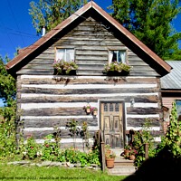 Buy canvas prints of Log Cabin by Stephanie Moore