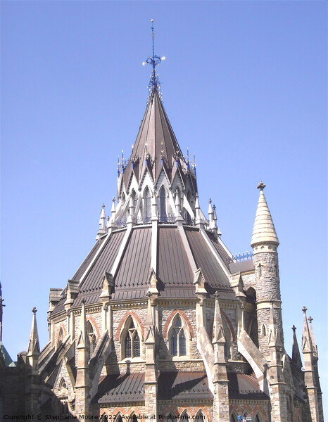 Roof of the Parliamentary Library Picture Board by Stephanie Moore