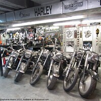 Buy canvas prints of My son-in-law's man cave - he has more motorcycle equipment than most stores by Stephanie Moore