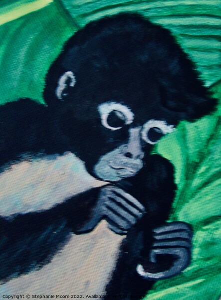 Black Monkey Picture Board by Stephanie Moore