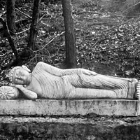 Buy canvas prints of Reclining Buddha in black and white by Stephanie Moore