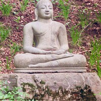 Buy canvas prints of Seated Buddha by Stephanie Moore