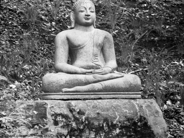 Seated Buddha in b & w Picture Board by Stephanie Moore