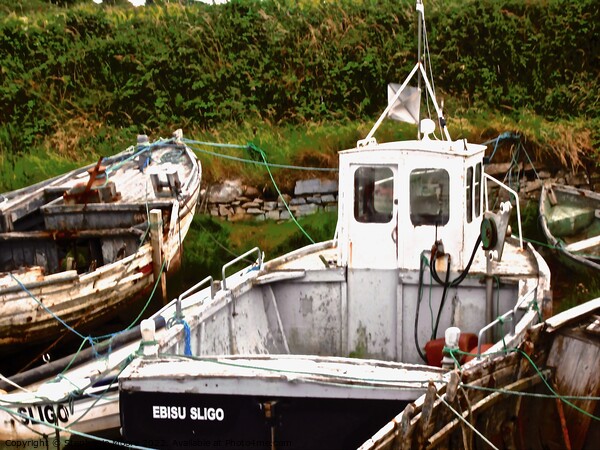 Abandoned fishing boats Picture Board by Stephanie Moore