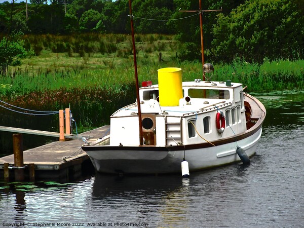 Docked boat in Fermanagh, Northern Island Picture Board by Stephanie Moore