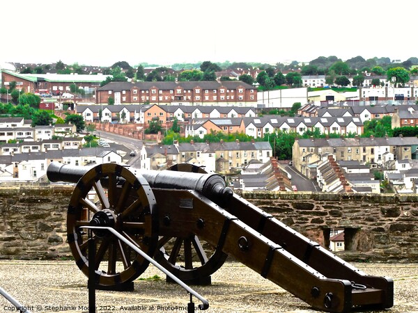 Cannon overlooking Bogside Picture Board by Stephanie Moore