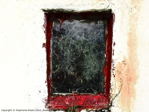 Window in an abandoned house Picture Board by Stephanie Moore