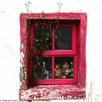 Buy canvas prints of Abandoned cottage window by Stephanie Moore