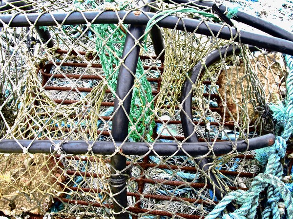 Lobster traps  Picture Board by Stephanie Moore
