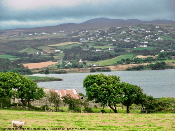 Rainy day in Donegal Picture Board by Stephanie Moore