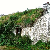 Buy canvas prints of Ruined cottage by Stephanie Moore