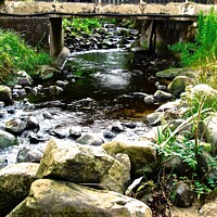 Buy canvas prints of Stream at Downhill, Derry by Stephanie Moore