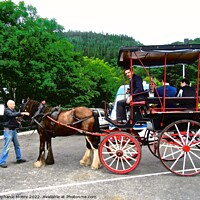 Buy canvas prints of Horse and Cart by Stephanie Moore