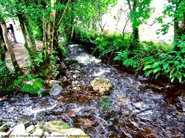 Another stream at Glencar Picture Board by Stephanie Moore