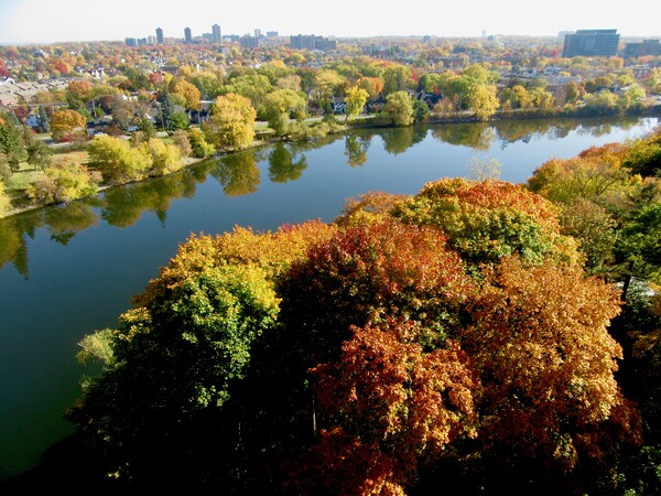 Fall colours along the Rideau River Picture Board by Stephanie Moore