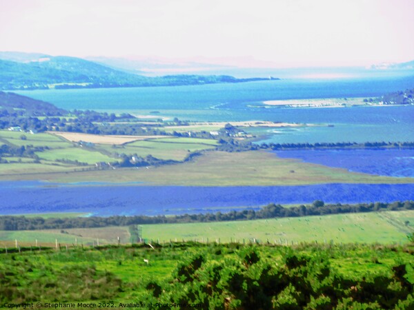 The view from Grianan of Aileach Picture Board by Stephanie Moore