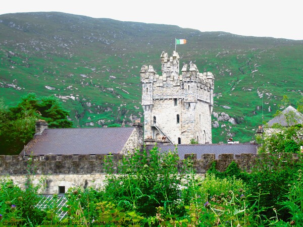 Glenveagh Castle from the back Picture Board by Stephanie Moore