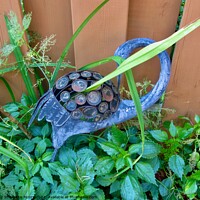 Buy canvas prints of Blue garden heron by Stephanie Moore