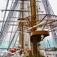 Buy canvas prints of Masts and Rigging by Stephanie Moore
