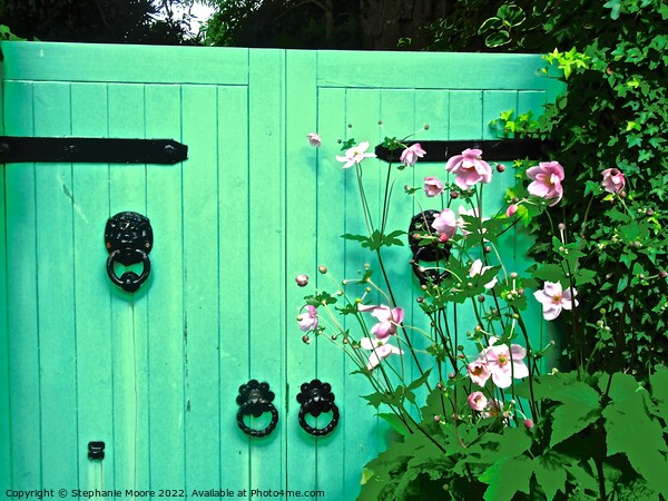 Green Garden Gates Picture Board by Stephanie Moore
