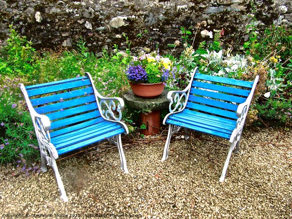A lovely place to sit Picture Board by Stephanie Moore
